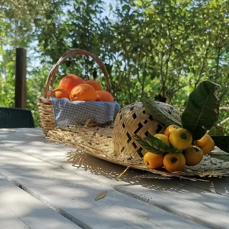 La Fattoria Dei Nonni Country house Paterno (Sicily)