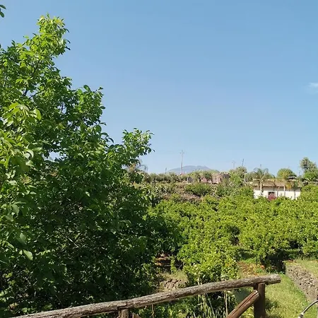La Fattoria Dei Nonni Country house Paterno (Sicily)