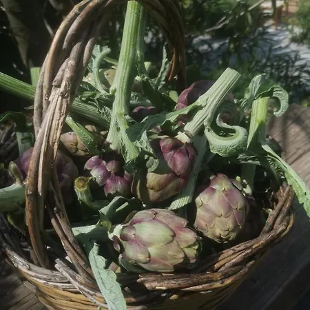 La Fattoria Dei Nonni *