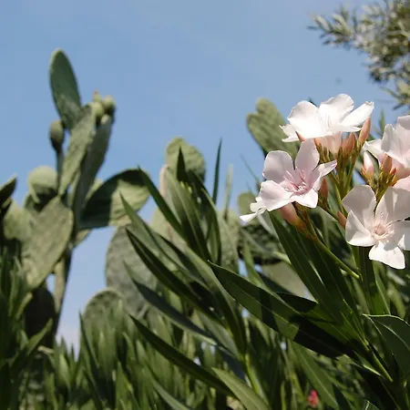 La Fattoria Dei Nonni Paterno (Sicily)