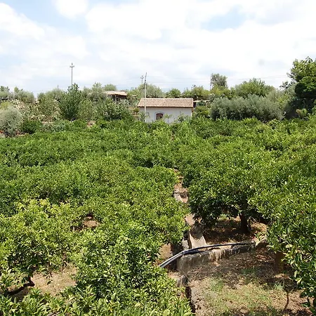 La Fattoria Dei Nonni Paterno (Sicily)
