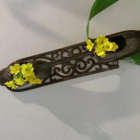 Venkovský dům La Fattoria Dei Nonni Paterno (Sicily)