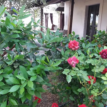 La Fattoria Dei Nonni Paterno (Sicily)