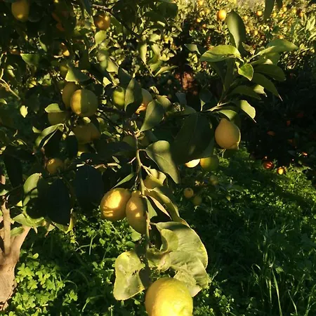 La Fattoria Dei Nonni *