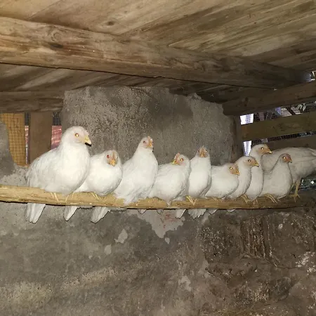 La Fattoria Dei Nonni * Paterno (Sicily)