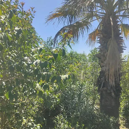 La Fattoria Dei Nonni Landhaus